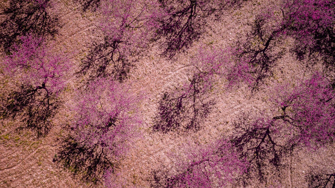 Кипр весной!