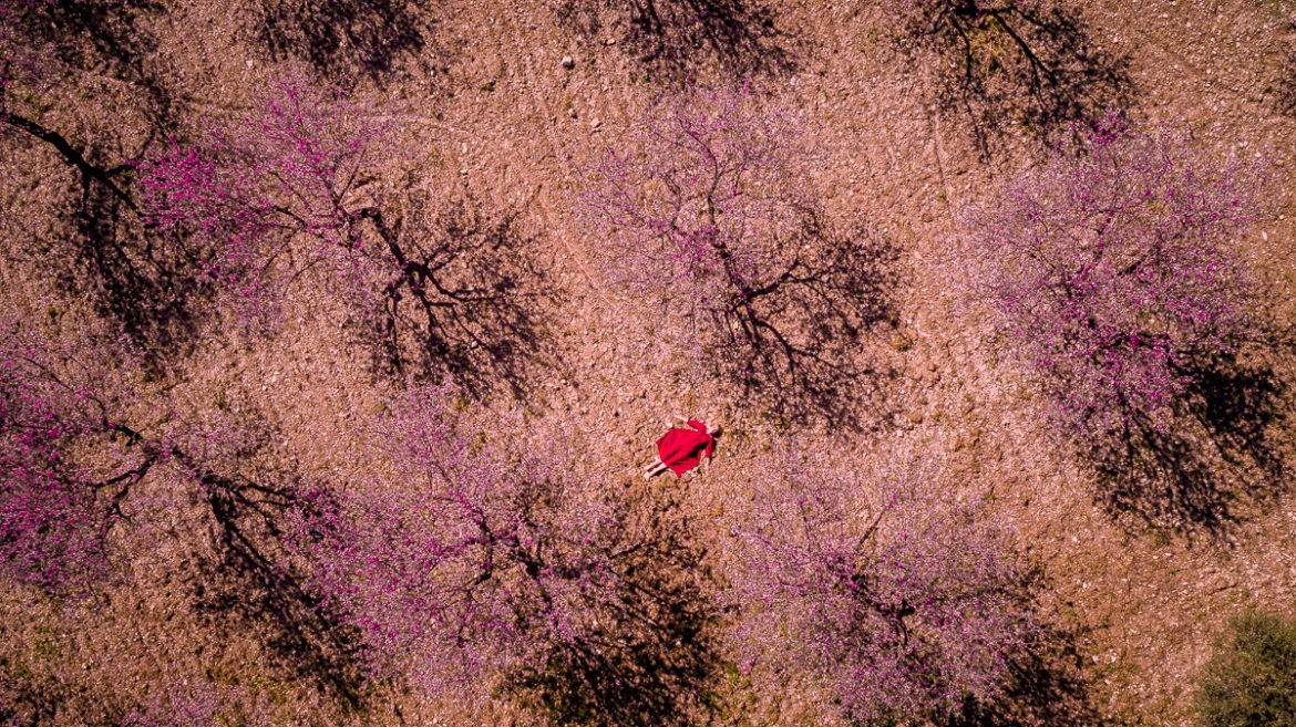 Фестиваль миндаля на Кипре 2019