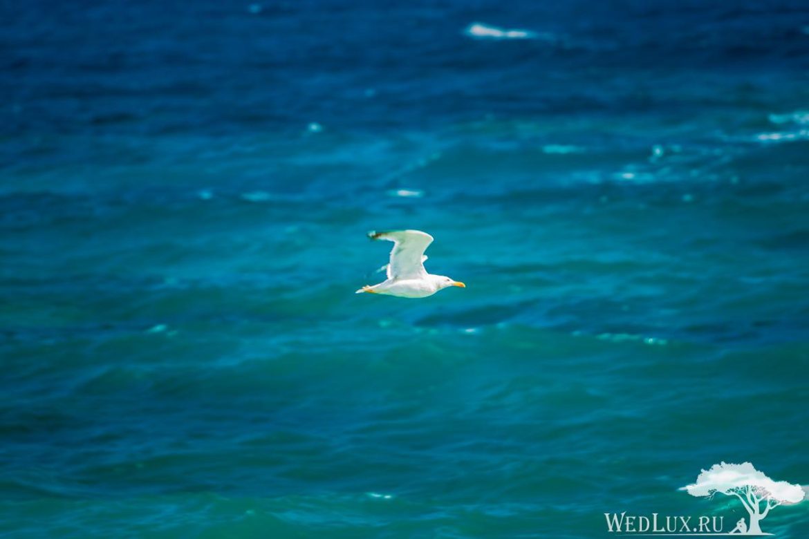 Самый Богатый Киприот