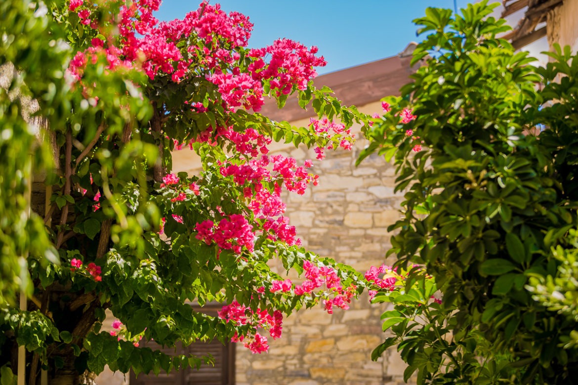 Кипр странные названия