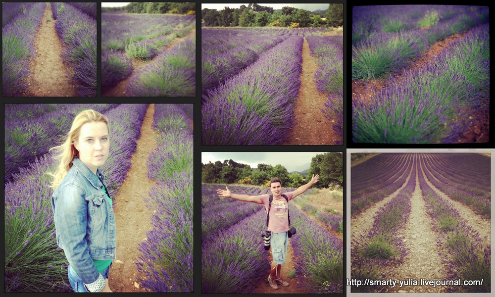  photo Provence_201310.jpg