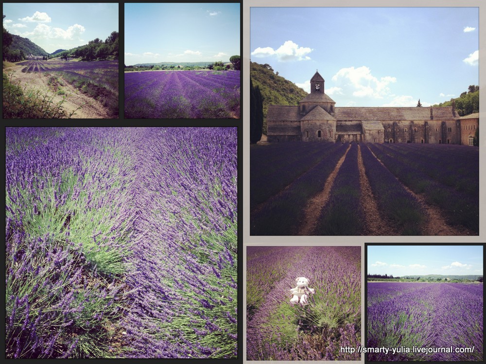  photo Provence_201325.jpg