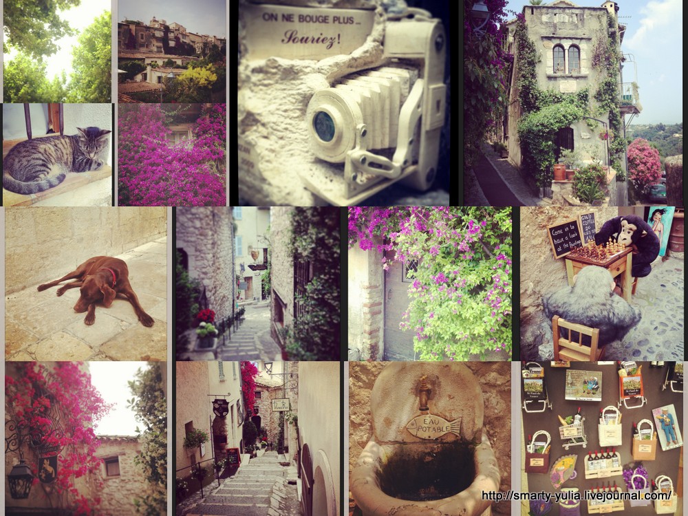 photo Provence_20134.jpg