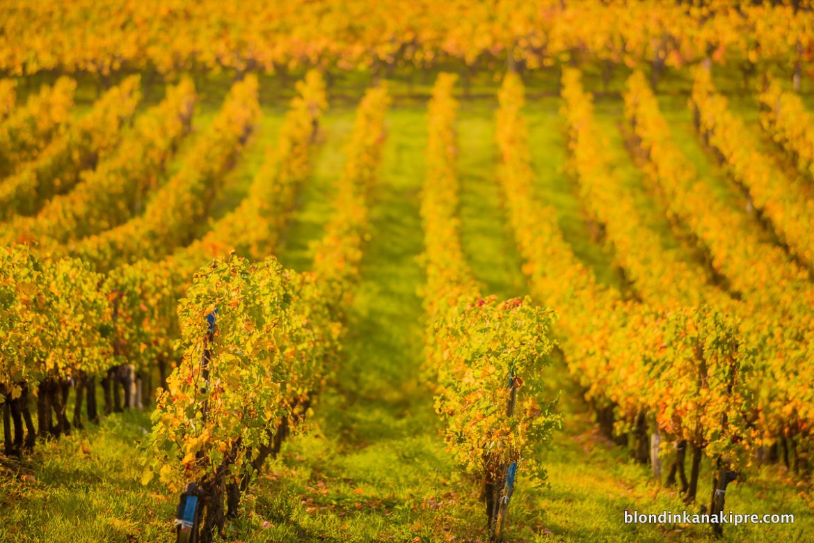 Путешествие по Франции на автомобиле:  часть 2. Бордо, Бретань