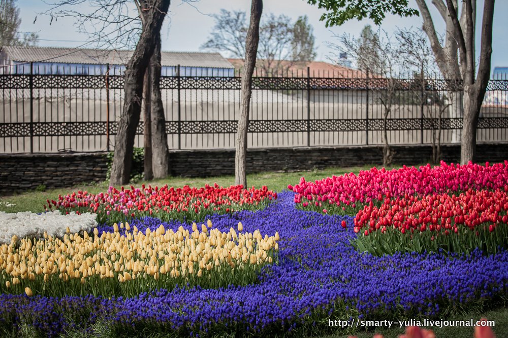  photo 2014-04-18-AgiaSofia-tulips-bazaar-0188.jpg