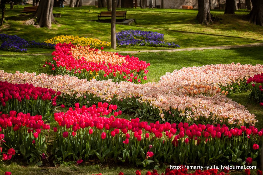  photo 2014-04-18-AgiaSofia-tulips-bazaar-0193.jpg
